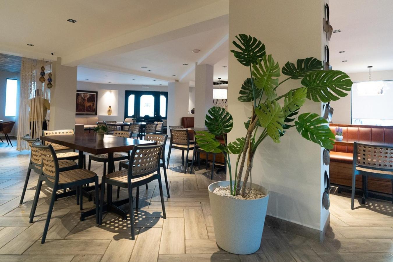 Hotel San Antonio Тампіко Екстер'єр фото